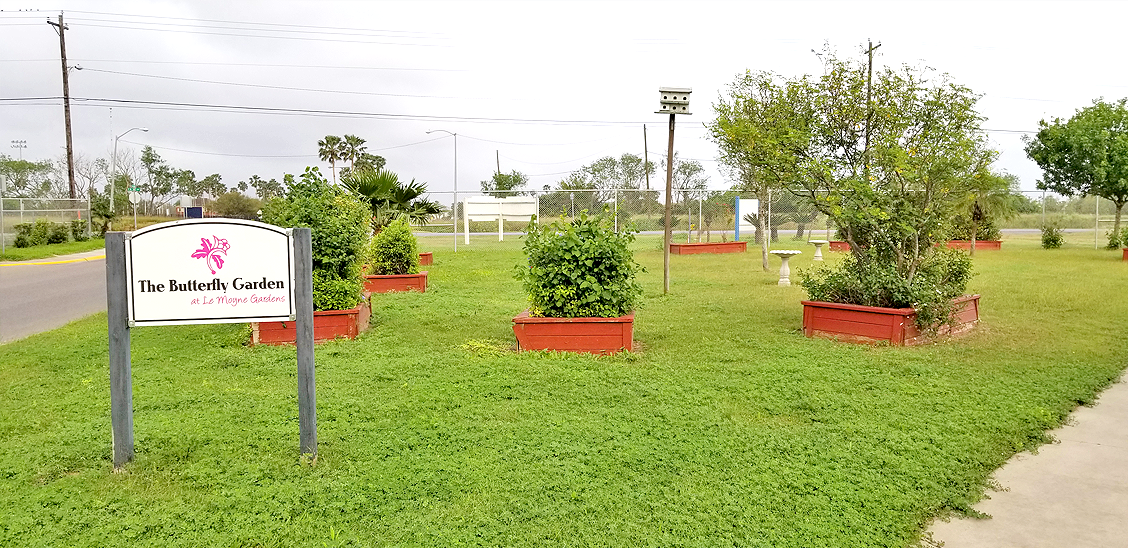 Le Moyne Gardens Apartments Harlingen Housing Authority